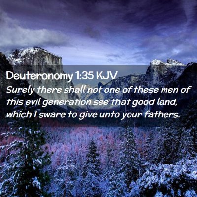 Picture 02 - Deuteronomy 1:35 KJV - Surely there shall not one of these men of this - Bible Verse Picture