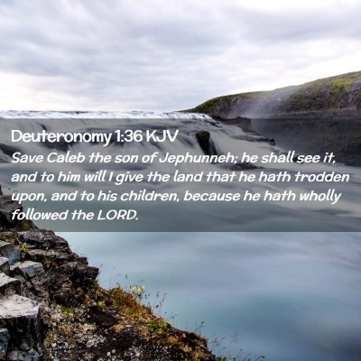 Picture 02 - Deuteronomy 1:36 KJV - Save Caleb the son of Jephunneh; he shall see it, - Bible Verse Picture