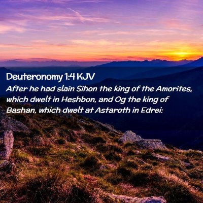 Picture 02 - Deuteronomy 1:4 KJV - After he had slain Sihon the king of the - Bible Verse Picture