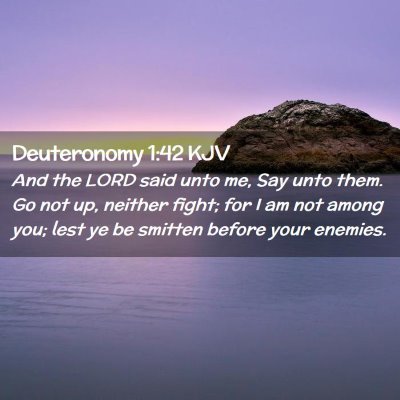 Picture 02 - Deuteronomy 1:42 KJV - And the LORD said unto me, Say unto them. Go not - Bible Verse Picture