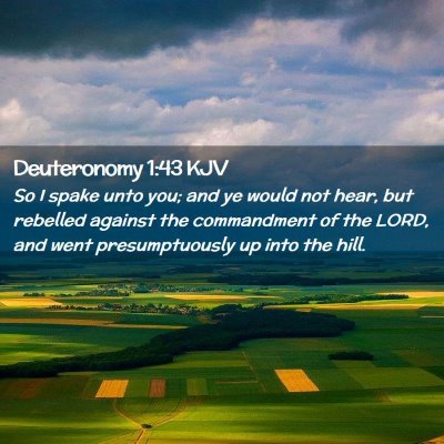 Picture 02 - Deuteronomy 1:43 KJV - So I spake unto you; and ye would not hear, but - Bible Verse Picture