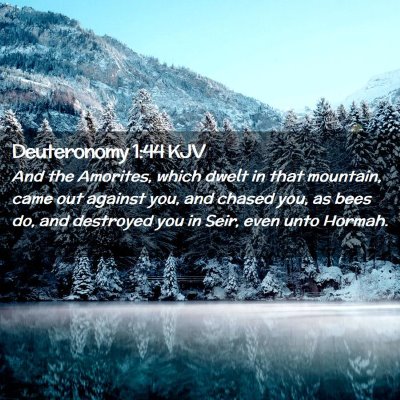 Picture 02 - Deuteronomy 1:44 KJV - And the Amorites, which dwelt in that mountain, - Bible Verse Picture