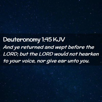 Picture 02 - Deuteronomy 1:45 KJV - And ye returned and wept before the LORD; but the - Bible Verse Picture