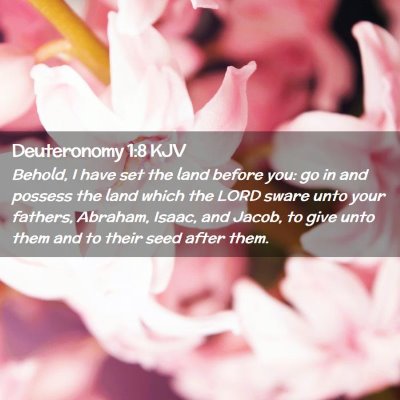 Picture 02 - Deuteronomy 1:8 KJV - Behold, I have set the land before you: go in and - Bible Verse Picture
