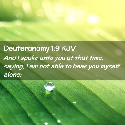 Picture 02 - Deuteronomy 1:9 KJV - And I spake unto you at that time, saying, I am - Bible Verse Picture