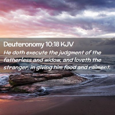Picture 02 - Deuteronomy 10:18 KJV - He doth execute the judgment of the fatherless - Bible Verse Picture