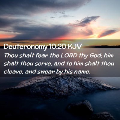 Picture 02 - Deuteronomy 10:20 KJV - Thou shalt fear the LORD thy God; him shalt thou - Bible Verse Picture