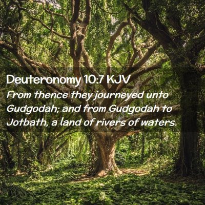 Picture 02 - Deuteronomy 10:7 KJV - From thence they journeyed unto Gudgodah; and - Bible Verse Picture