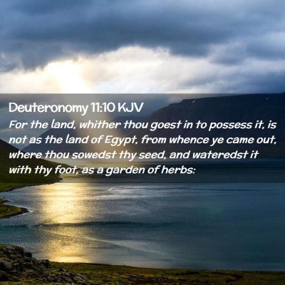 Picture 02 - Deuteronomy 11:10 KJV - For the land, whither thou goest in to possess - Bible Verse Picture