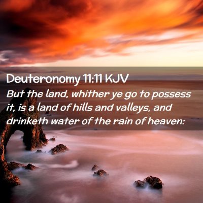 Picture 02 - Deuteronomy 11:11 KJV - But the land, whither ye go to possess it, is a - Bible Verse Picture