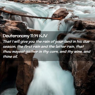 Picture 02 - Deuteronomy 11:14 KJV - That I will give you the rain of your land in his - Bible Verse Picture