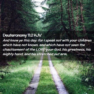 Picture 02 - Deuteronomy 11:2 KJV - And know ye this day: for I speak not with your - Bible Verse Picture