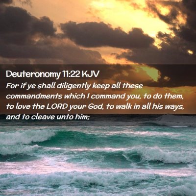Picture 02 - Deuteronomy 11:22 KJV - For if ye shall diligently keep all these - Bible Verse Picture