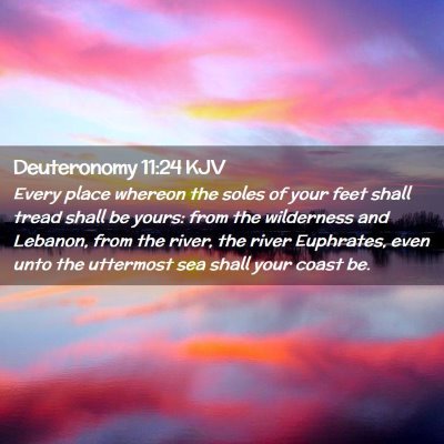 Picture 02 - Deuteronomy 11:24 KJV - Every place whereon the soles of your feet shall - Bible Verse Picture