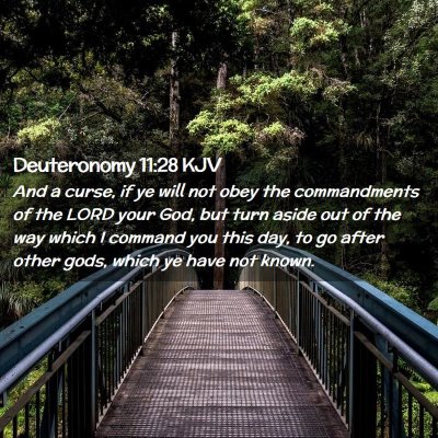 Picture 02 - Deuteronomy 11:28 KJV - And a curse, if ye will not obey the commandments - Bible Verse Picture
