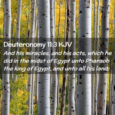 Picture 02 - Deuteronomy 11:3 KJV - And his miracles, and his acts, which he did in - Bible Verse Picture