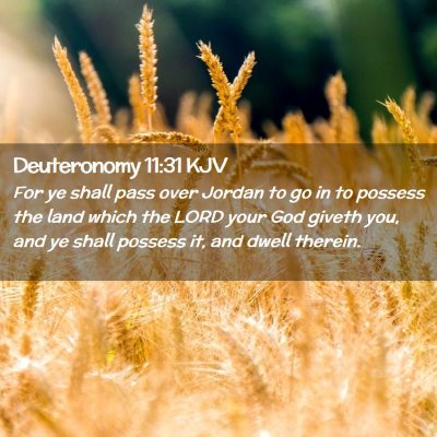 Picture 02 - Deuteronomy 11:31 KJV - For ye shall pass over Jordan to go in to possess - Bible Verse Picture