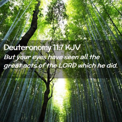 Picture 02 - Deuteronomy 11:7 KJV - But your eyes have seen all the great acts of the - Bible Verse Picture