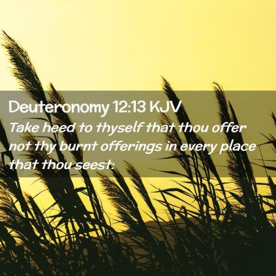 Picture 02 - Deuteronomy 12:13 KJV - Take heed to thyself that thou offer not thy - Bible Verse Picture