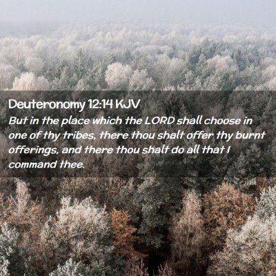 Picture 02 - Deuteronomy 12:14 KJV - But in the place which the LORD shall choose in - Bible Verse Picture