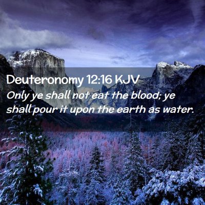 Picture 02 - Deuteronomy 12:16 KJV - Only ye shall not eat the blood; ye shall pour it - Bible Verse Picture