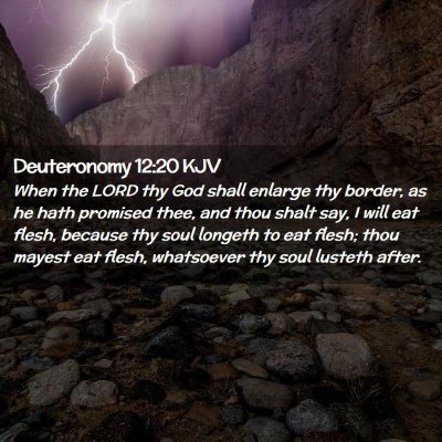 Picture 02 - Deuteronomy 12:20 KJV - When the LORD thy God shall enlarge thy border, - Bible Verse Picture