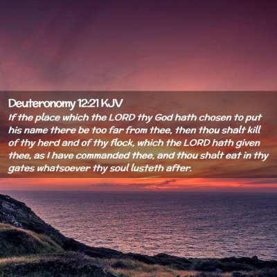 Picture 02 - Deuteronomy 12:21 KJV - If the place which the LORD thy God hath chosen - Bible Verse Picture