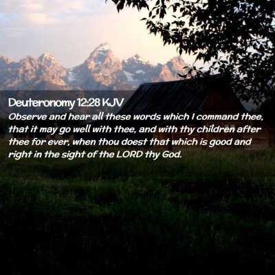 Picture 02 - Deuteronomy 12:28 KJV - Observe and hear all these words which I command - Bible Verse Picture