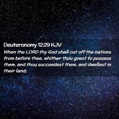 Picture 02 - Deuteronomy 12:29 KJV - When the LORD thy God shall cut off the nations - Bible Verse Picture