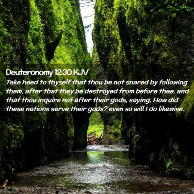Picture 02 - Deuteronomy 12:30 KJV - Take heed to thyself that thou be not snared by - Bible Verse Picture