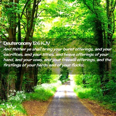 Picture 02 - Deuteronomy 12:6 KJV - And thither ye shall bring your burnt offerings, - Bible Verse Picture