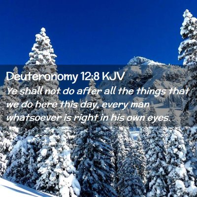Picture 02 - Deuteronomy 12:8 KJV - Ye shall not do after all the things that we do - Bible Verse Picture