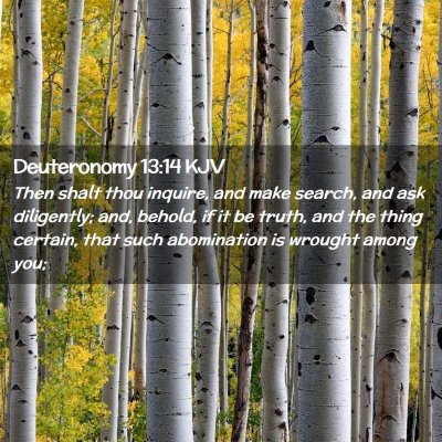 Picture 02 - Deuteronomy 13:14 KJV - Then shalt thou inquire, and make search, and ask - Bible Verse Picture