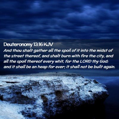 Picture 02 - Deuteronomy 13:16 KJV - And thou shalt gather all the spoil of it into - Bible Verse Picture