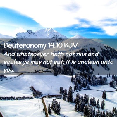 Picture 02 - Deuteronomy 14:10 KJV - And whatsoever hath not fins and scales ye may - Bible Verse Picture