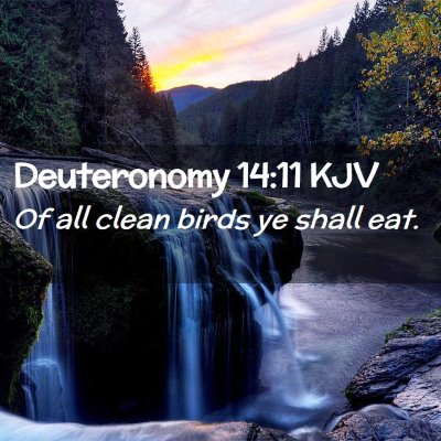 Picture 02 - Deuteronomy 14:11 KJV - Of all clean birds ye shall - Bible Verse Picture