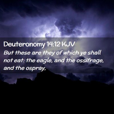 Picture 02 - Deuteronomy 14:12 KJV - But these are they of which ye shall not eat: the - Bible Verse Picture