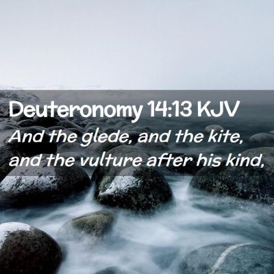 Picture 02 - Deuteronomy 14:13 KJV - And the glede, and the kite, and the vulture - Bible Verse Picture