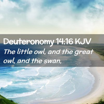 Picture 02 - Deuteronomy 14:16 KJV - The little owl, and the great owl, and the - Bible Verse Picture