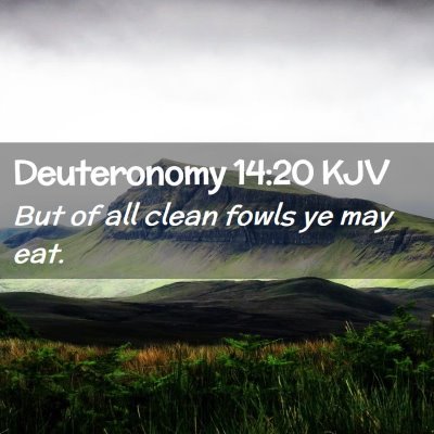 Picture 02 - Deuteronomy 14:20 KJV - But of all clean fowls ye may - Bible Verse Picture
