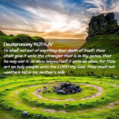 Picture 02 - Deuteronomy 14:21 KJV - Ye shall not eat of anything that dieth of - Bible Verse Picture
