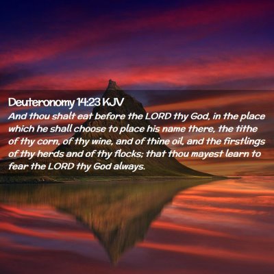 Picture 02 - Deuteronomy 14:23 KJV - And thou shalt eat before the LORD thy God, in - Bible Verse Picture