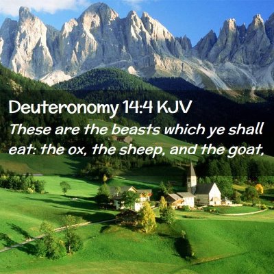 Picture 02 - Deuteronomy 14:4 KJV - These are the beasts which ye shall eat: the ox, - Bible Verse Picture