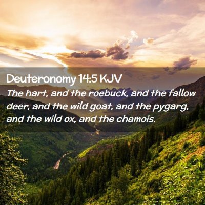 Picture 02 - Deuteronomy 14:5 KJV - The hart, and the roebuck, and the fallow deer, - Bible Verse Picture