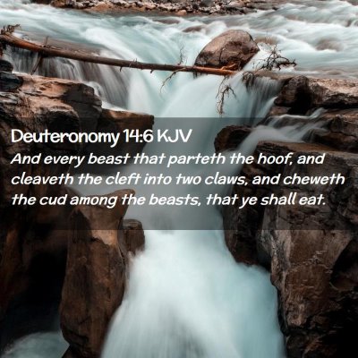 Picture 02 - Deuteronomy 14:6 KJV - And every beast that parteth the hoof, and - Bible Verse Picture