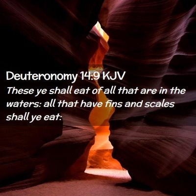 Picture 02 - Deuteronomy 14:9 KJV - These ye shall eat of all that are in the waters: - Bible Verse Picture
