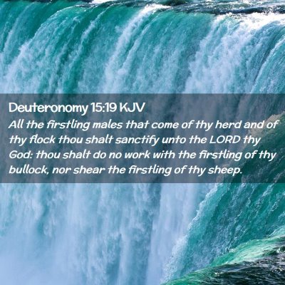 Picture 02 - Deuteronomy 15:19 KJV - All the firstling males that come of thy herd and - Bible Verse Picture
