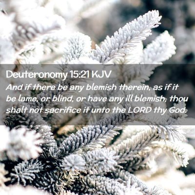 Picture 02 - Deuteronomy 15:21 KJV - And if there be any blemish therein, as if it be - Bible Verse Picture