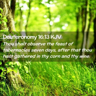 Picture 02 - Deuteronomy 16:13 KJV - Thou shalt observe the feast of tabernacles seven - Bible Verse Picture