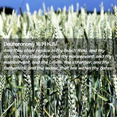 Picture 02 - Deuteronomy 16:14 KJV - And thou shalt rejoice in thy feast, thou, and - Bible Verse Picture